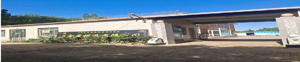 河間市金星模具有限公司